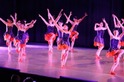11   Sporulation 06